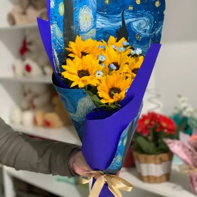 Buque Ceu Estrelado Van Gogh